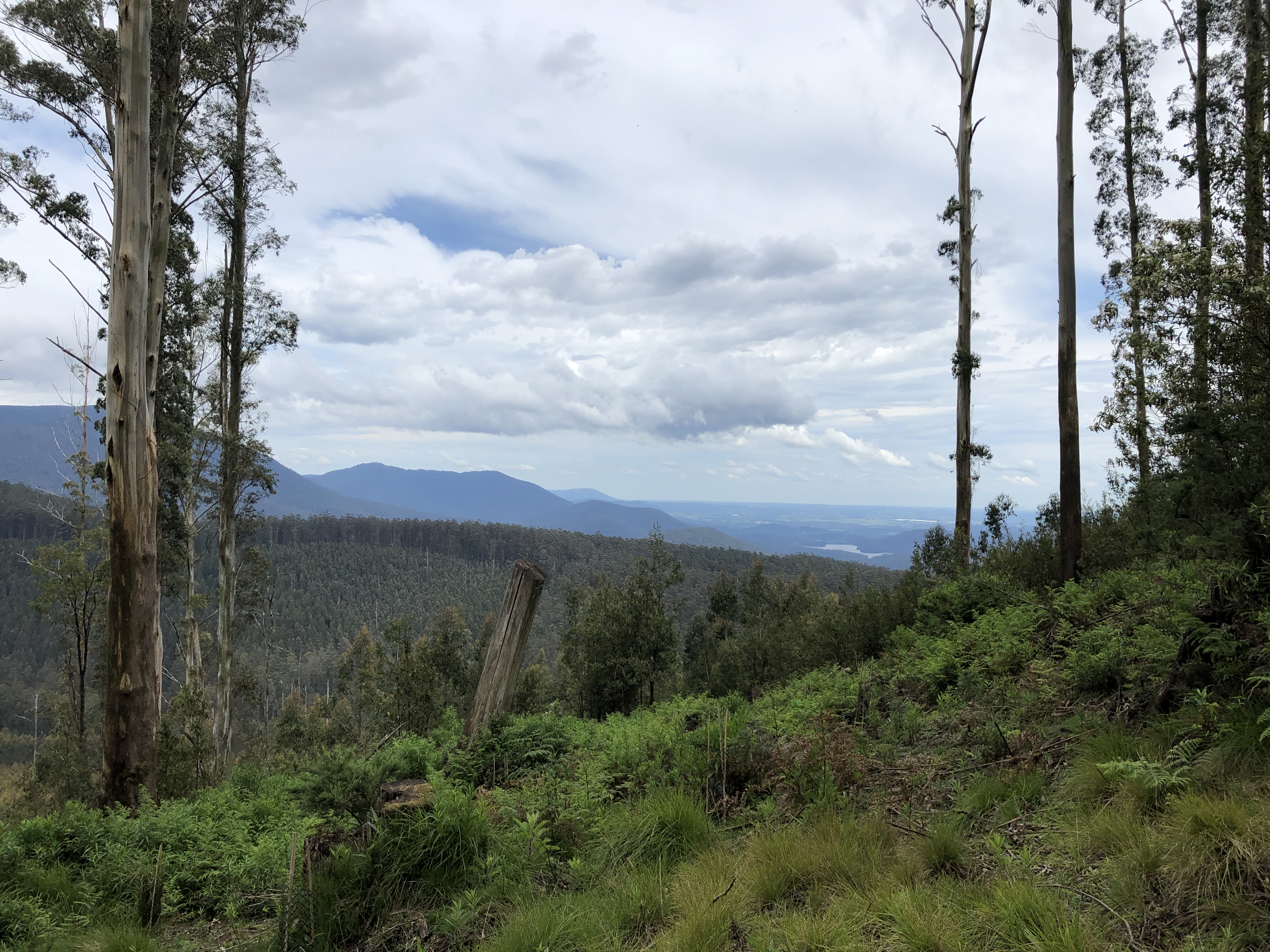 View towards Melbourne from Mt Dom Dom