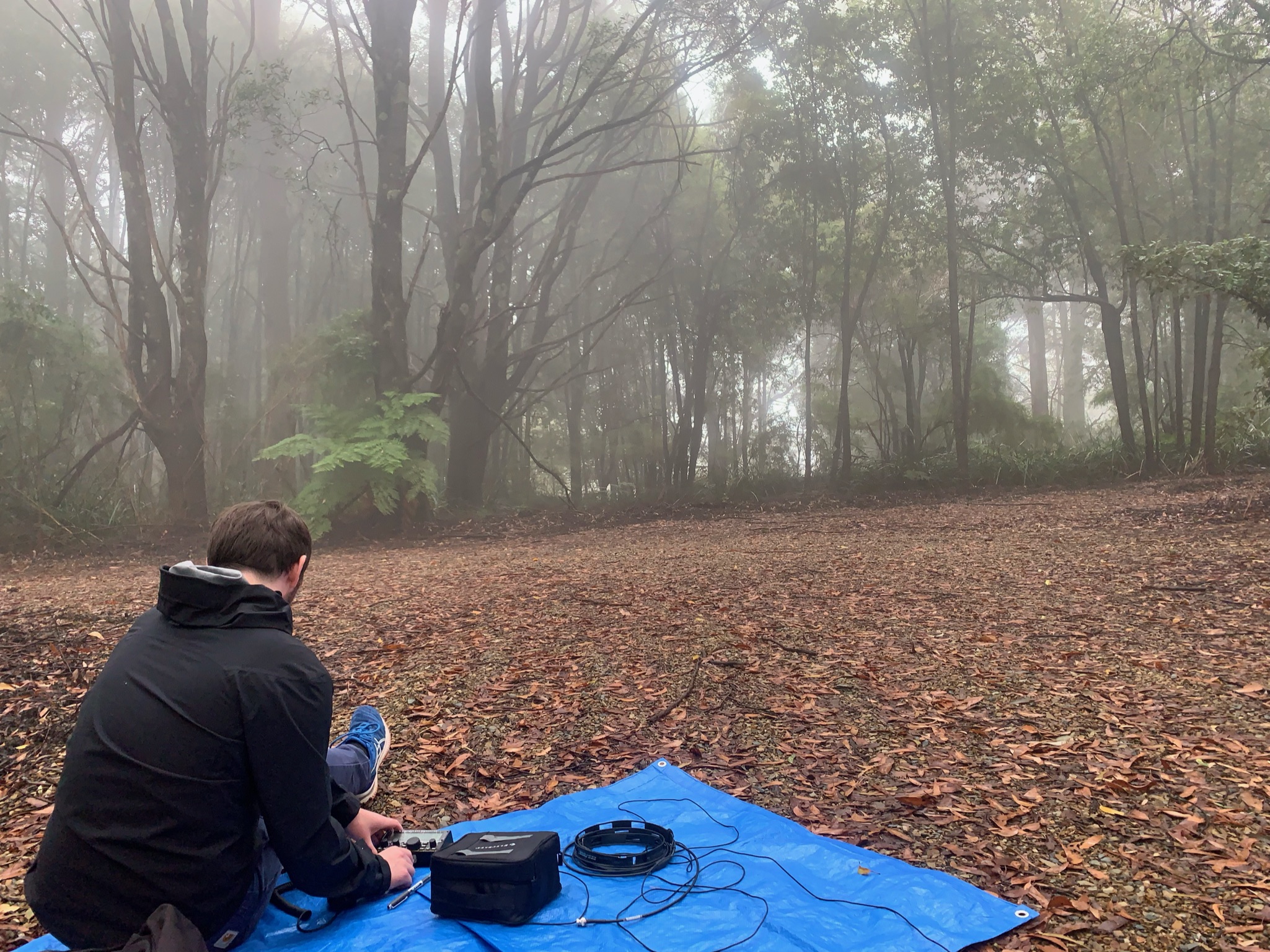 Sitting on a blue tarp in a forest clearing operating radio.