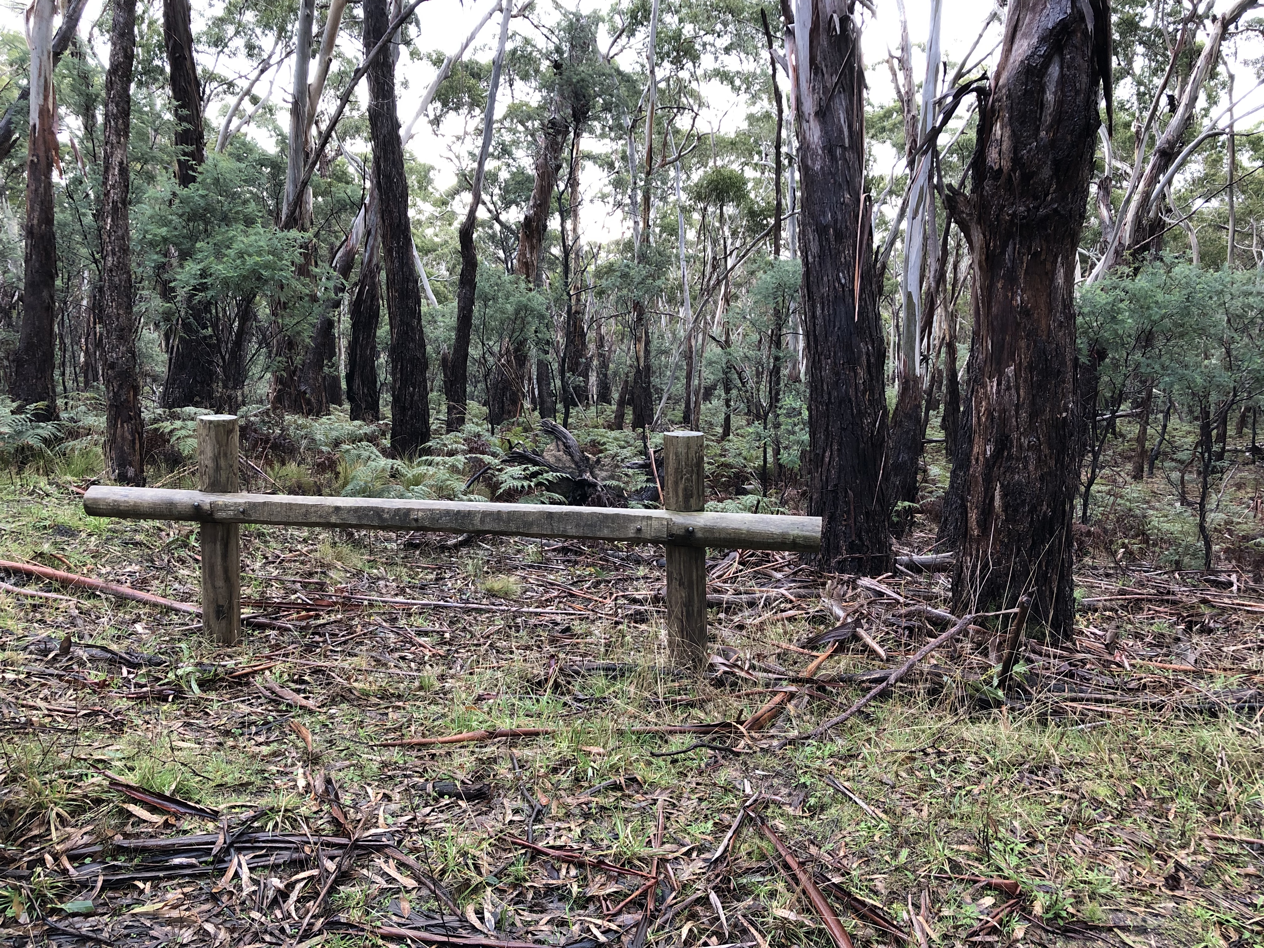 A small log fence at the side of the road.