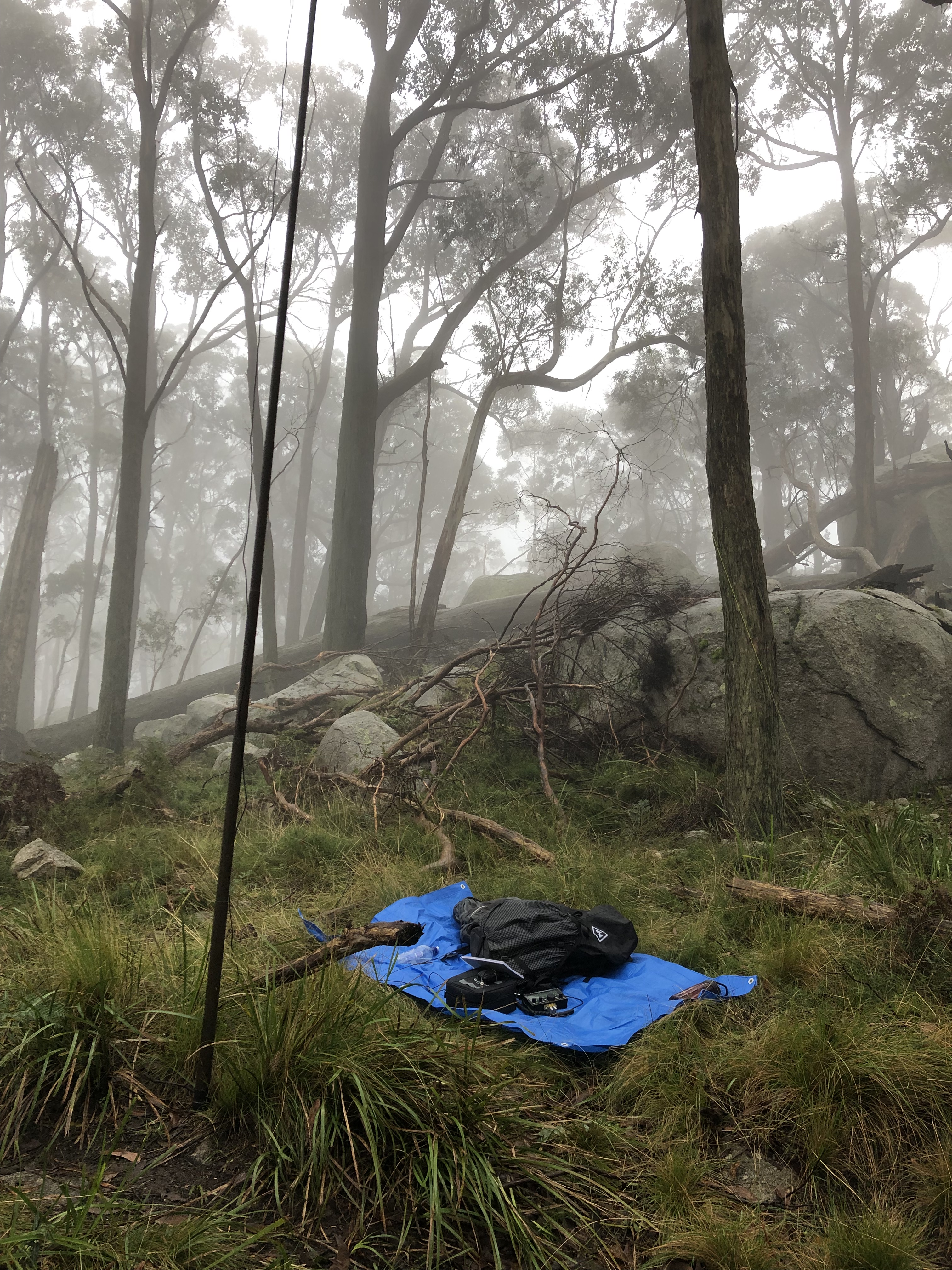 Foggy conditions in the Australian bush (visibility < 40m).